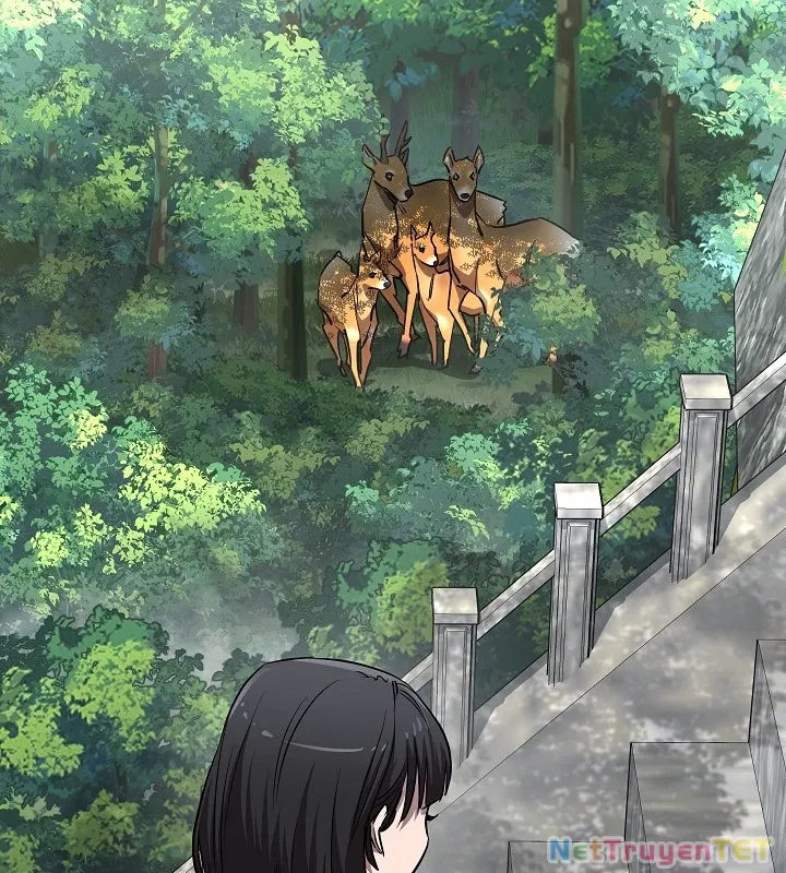 đọc truyện Thanh Mai Trúc Mã Của Đệ Nhất Thiên Hạ Chương 46 ảnh 105 tại Thiên Thai Truyện