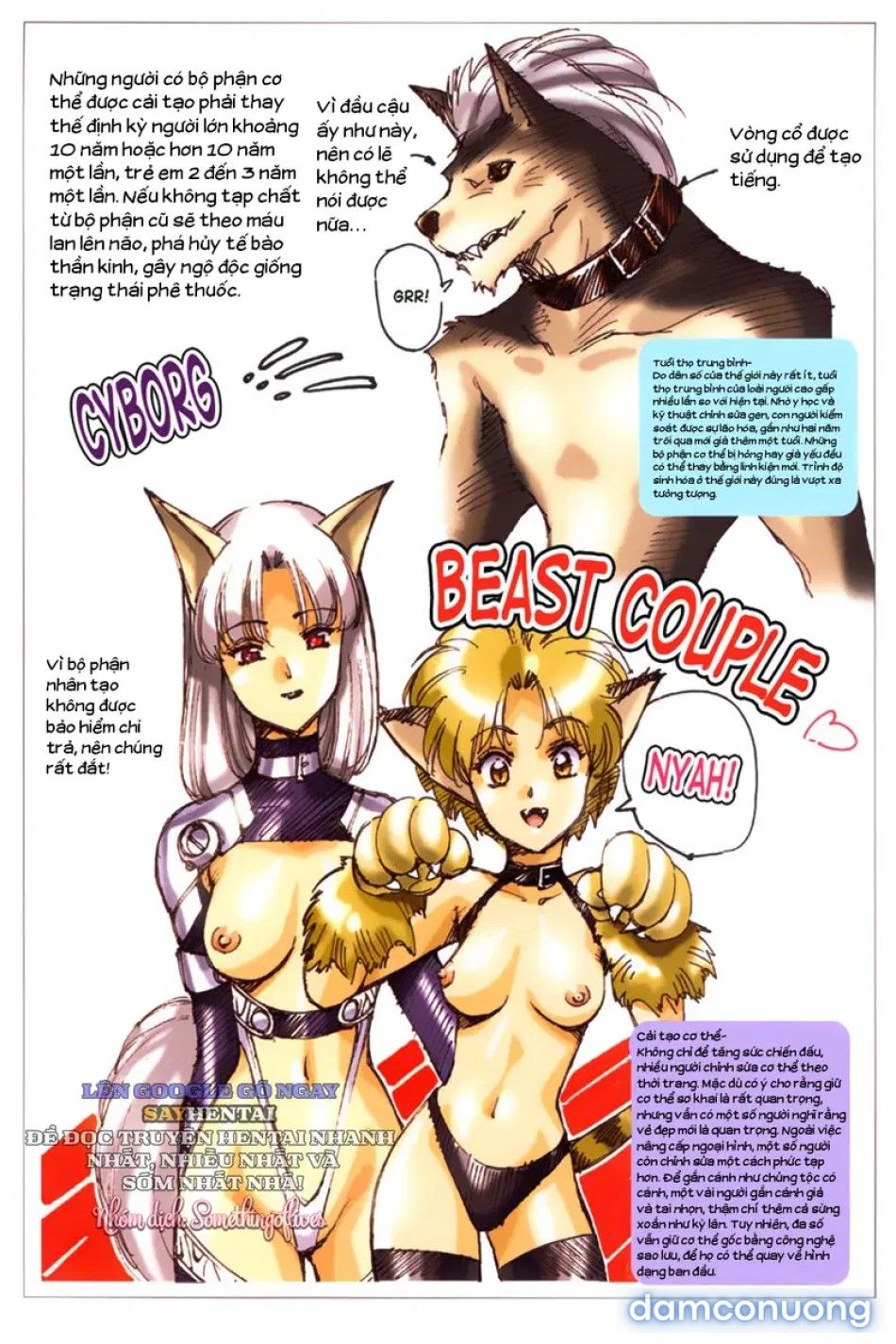 đọc truyện Thành Phố Ragnarock Nơi Khởi Đầu Kỷ Nguyên Diệt Vong Chương 3 ảnh 5 tại Thiên Thai Truyện