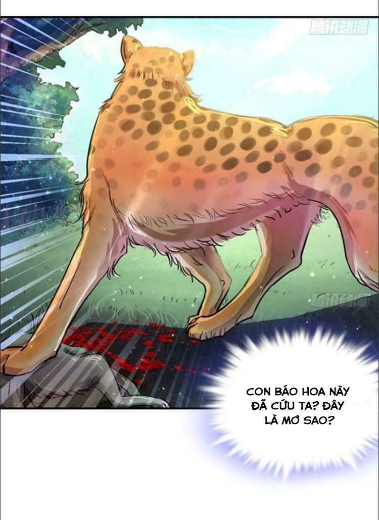 đọc truyện Thảnh Thơi Thú Thế Chủng Chủng Điền, Sinh Sinh Tể Chương 0 ảnh 13 tại Thiên Thai Truyện