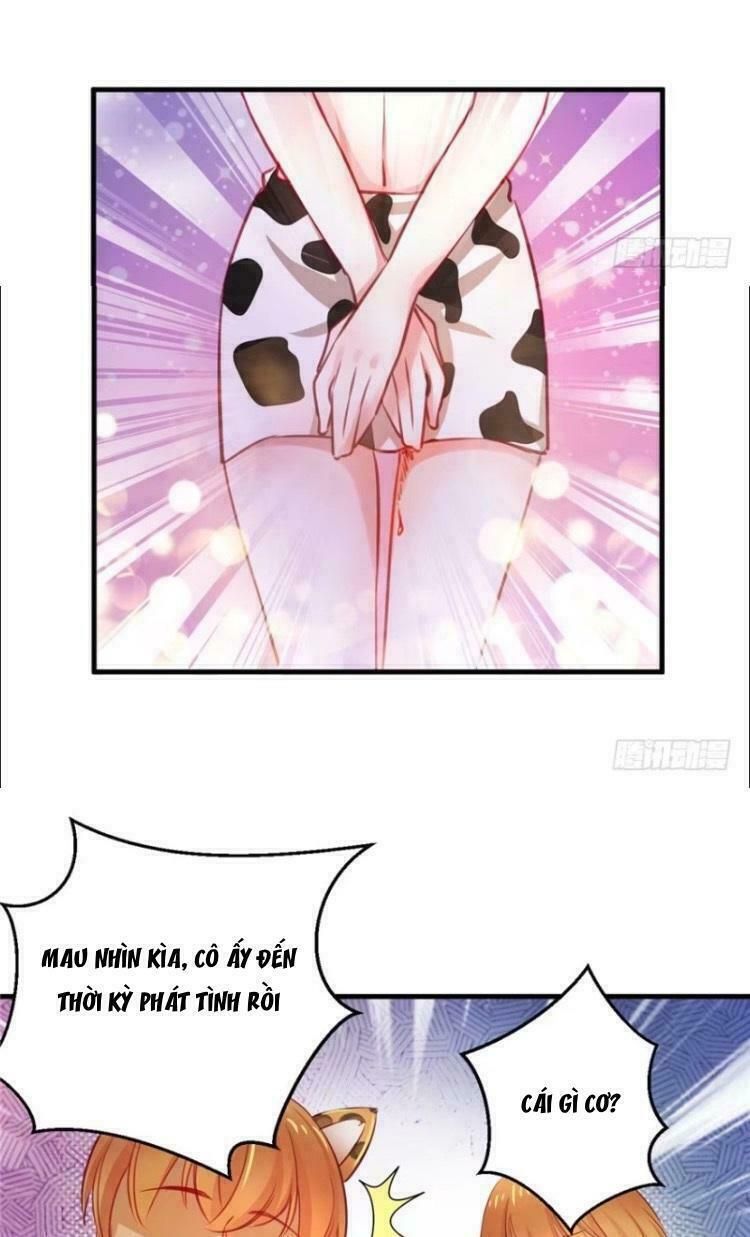 đọc truyện Thảnh Thơi Thú Thế Chủng Chủng Điền, Sinh Sinh Tể Chương 11 ảnh 13 tại Thiên Thai Truyện