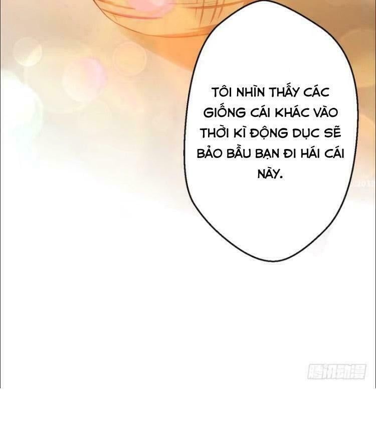 đọc truyện Thảnh Thơi Thú Thế Chủng Chủng Điền, Sinh Sinh Tể Chương 11 ảnh 32 tại Thiên Thai Truyện