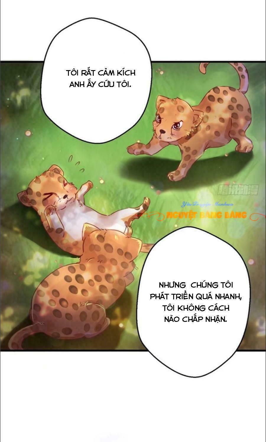 đọc truyện Thảnh Thơi Thú Thế Chủng Chủng Điền, Sinh Sinh Tể Chương 12 ảnh 34 tại Thiên Thai Truyện