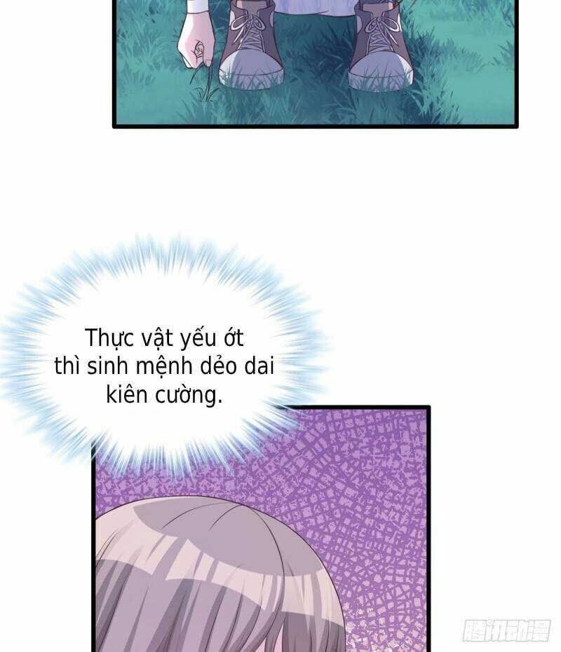 đọc truyện Thảnh Thơi Thú Thế Chủng Chủng Điền, Sinh Sinh Tể Chương 137 ảnh 17 tại Thiên Thai Truyện