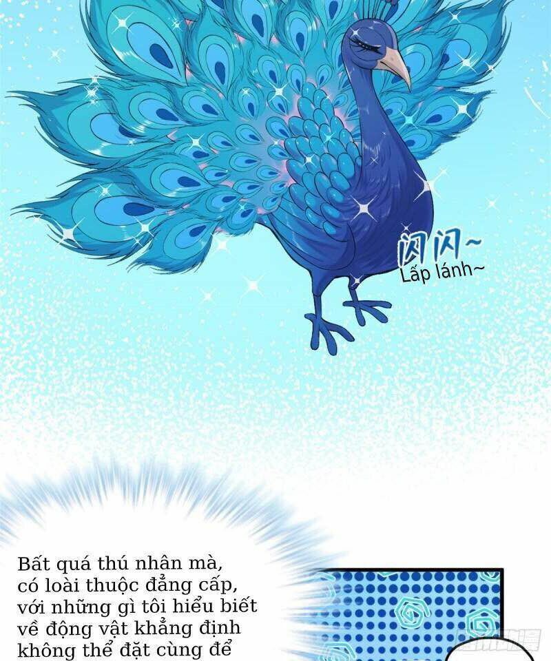 đọc truyện Thảnh Thơi Thú Thế Chủng Chủng Điền, Sinh Sinh Tể Chương 176 ảnh 37 tại Thiên Thai Truyện