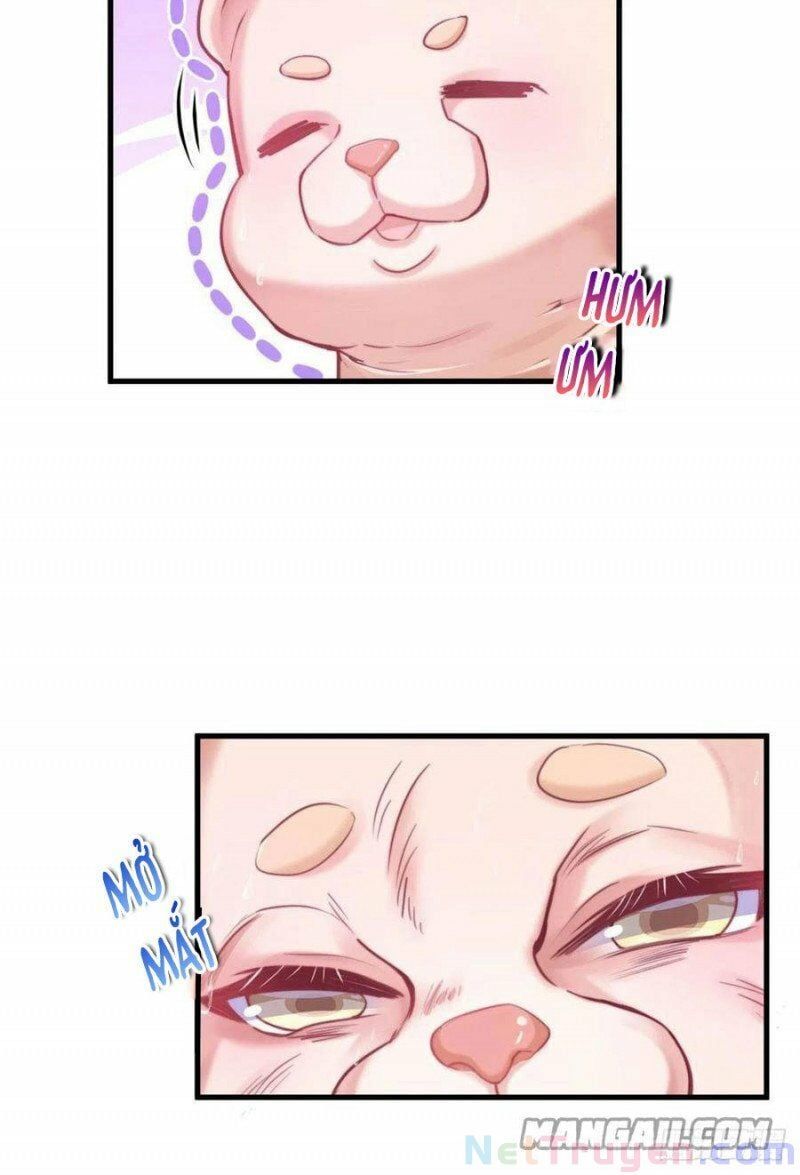 đọc truyện Thảnh Thơi Thú Thế Chủng Chủng Điền, Sinh Sinh Tể Chương 205 ảnh 15 tại Thiên Thai Truyện