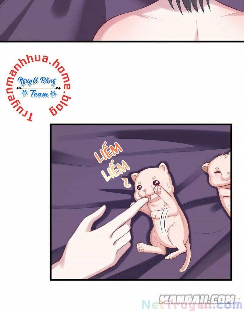 đọc truyện Thảnh Thơi Thú Thế Chủng Chủng Điền, Sinh Sinh Tể Chương 206 ảnh 28 tại Thiên Thai Truyện