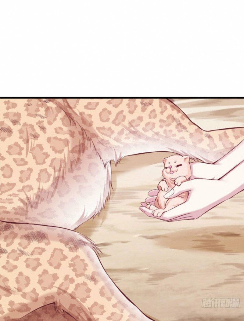 đọc truyện Thảnh Thơi Thú Thế Chủng Chủng Điền, Sinh Sinh Tể Chương 207 ảnh 14 tại Thiên Thai Truyện