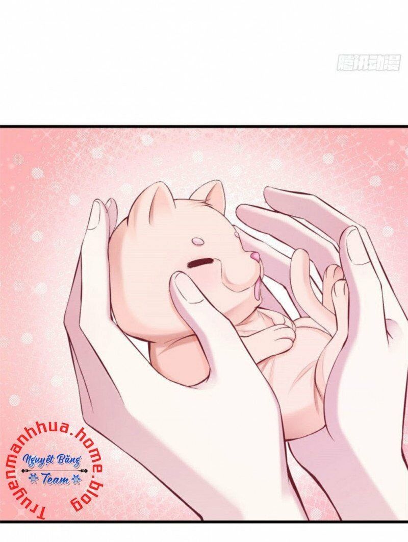 đọc truyện Thảnh Thơi Thú Thế Chủng Chủng Điền, Sinh Sinh Tể Chương 207 ảnh 21 tại Thiên Thai Truyện