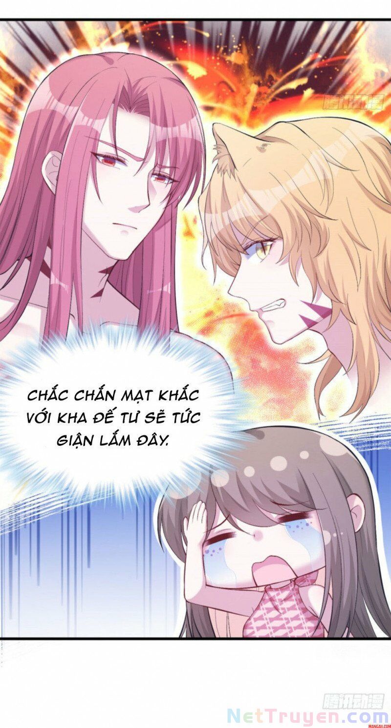 đọc truyện Thảnh Thơi Thú Thế Chủng Chủng Điền, Sinh Sinh Tể Chương 208 ảnh 17 tại Thiên Thai Truyện