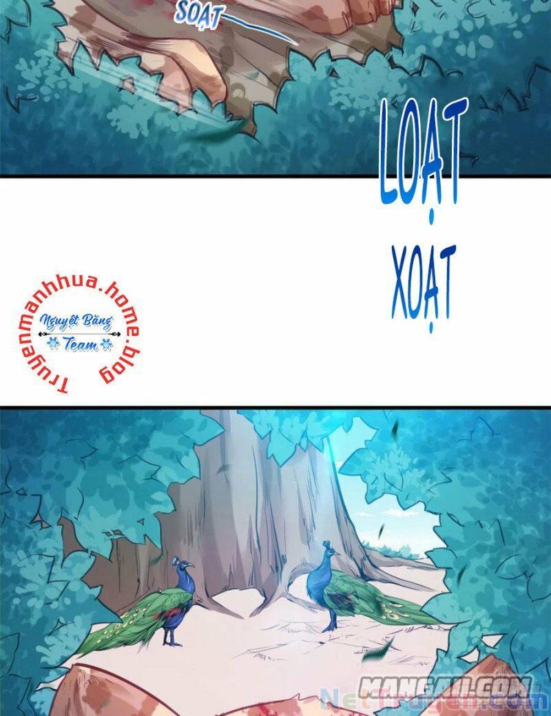 đọc truyện Thảnh Thơi Thú Thế Chủng Chủng Điền, Sinh Sinh Tể Chương 209 ảnh 11 tại Thiên Thai Truyện