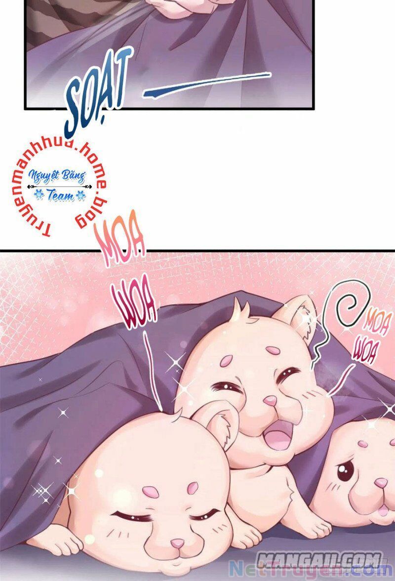 đọc truyện Thảnh Thơi Thú Thế Chủng Chủng Điền, Sinh Sinh Tể Chương 210 ảnh 5 tại Thiên Thai Truyện