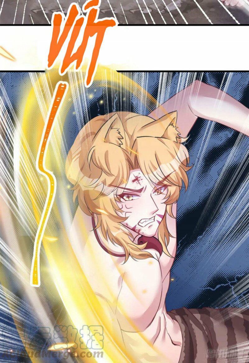 đọc truyện Thảnh Thơi Thú Thế Chủng Chủng Điền, Sinh Sinh Tể Chương 213 ảnh 19 tại Thiên Thai Truyện