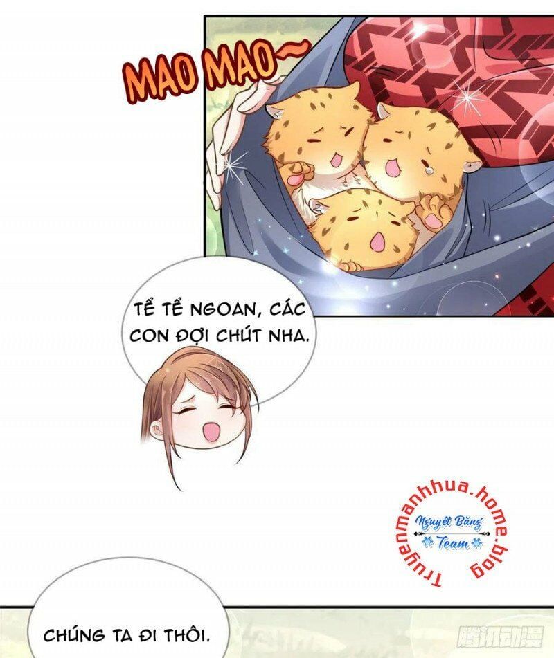 đọc truyện Thảnh Thơi Thú Thế Chủng Chủng Điền, Sinh Sinh Tể Chương 247 ảnh 23 tại Thiên Thai Truyện