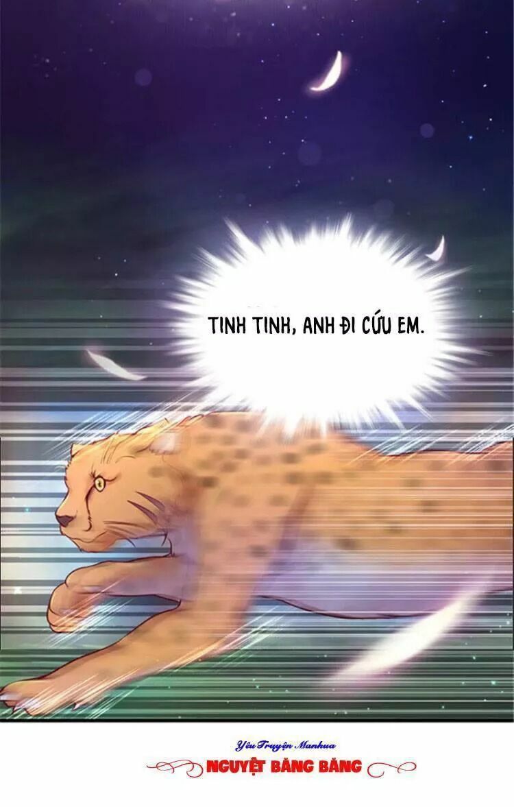 đọc truyện Thảnh Thơi Thú Thế Chủng Chủng Điền, Sinh Sinh Tể Chương 25 ảnh 73 tại Thiên Thai Truyện