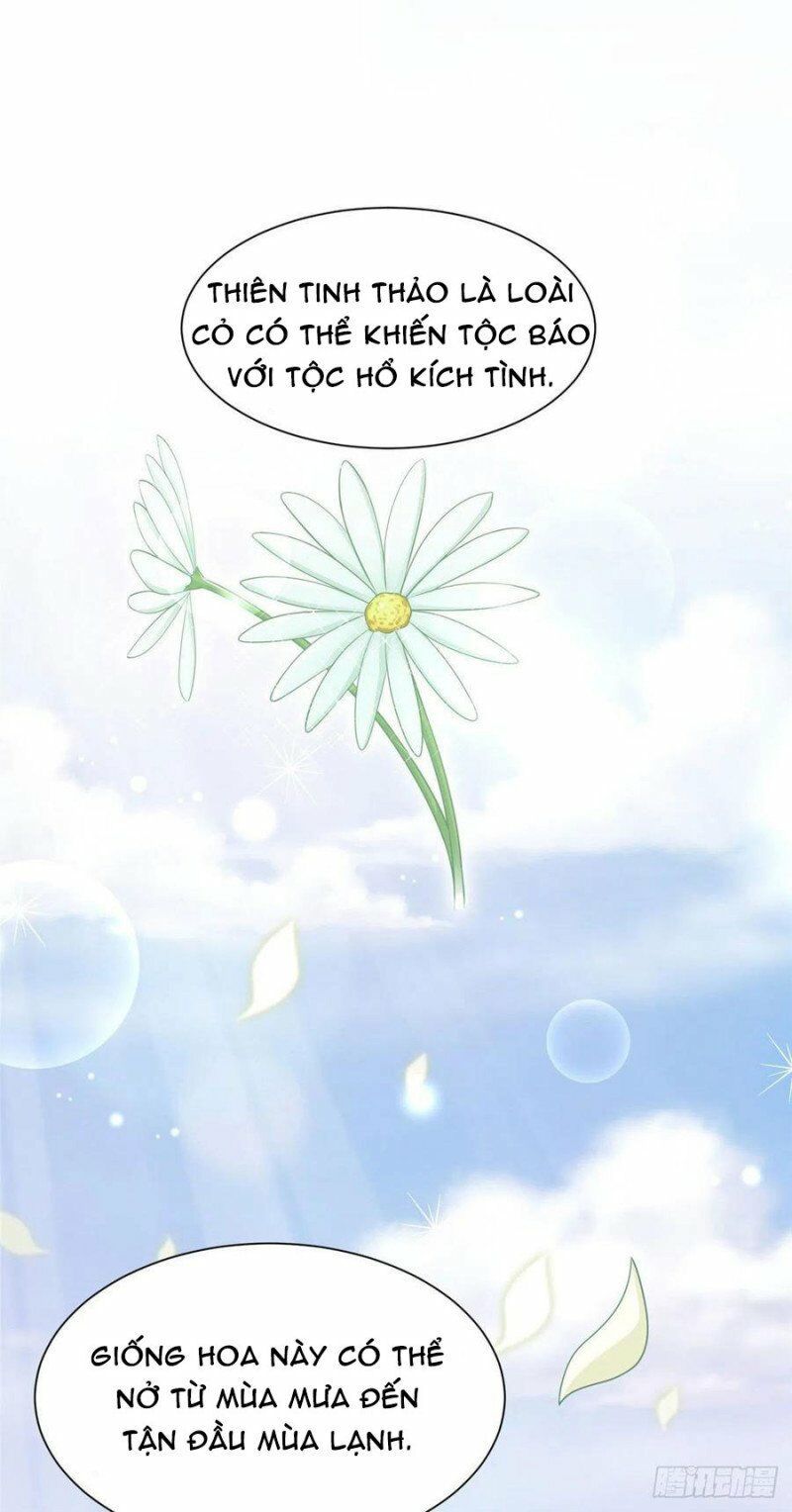 đọc truyện Thảnh Thơi Thú Thế Chủng Chủng Điền, Sinh Sinh Tể Chương 251 ảnh 4 tại Thiên Thai Truyện