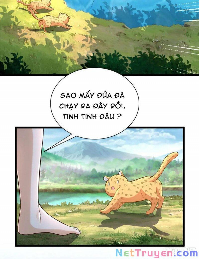 đọc truyện Thảnh Thơi Thú Thế Chủng Chủng Điền, Sinh Sinh Tể Chương 262.1 ảnh 5 tại Thiên Thai Truyện