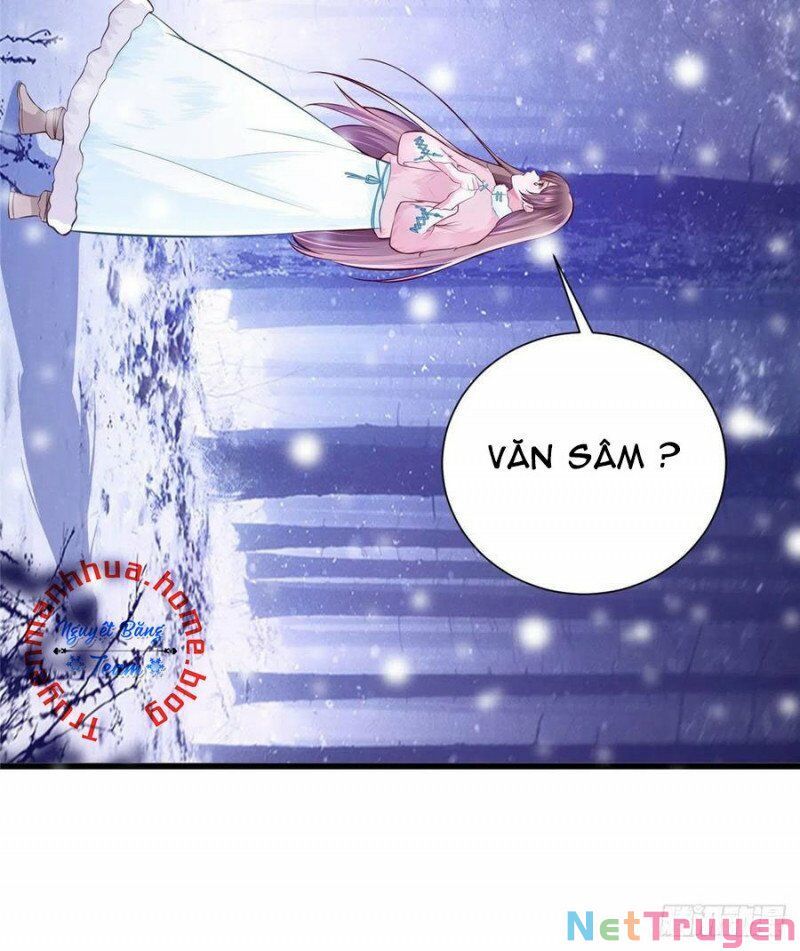 đọc truyện Thảnh Thơi Thú Thế Chủng Chủng Điền, Sinh Sinh Tể Chương 269.1 ảnh 14 tại Thiên Thai Truyện