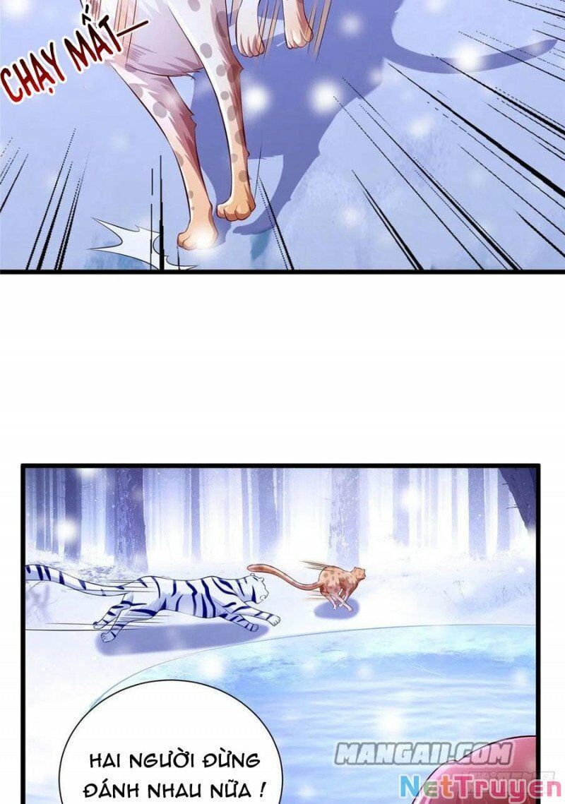 đọc truyện Thảnh Thơi Thú Thế Chủng Chủng Điền, Sinh Sinh Tể Chương 269.1 ảnh 32 tại Thiên Thai Truyện