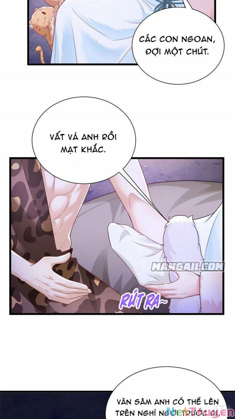 đọc truyện Thảnh Thơi Thú Thế Chủng Chủng Điền, Sinh Sinh Tể Chương 271.1 ảnh 14 tại Thiên Thai Truyện