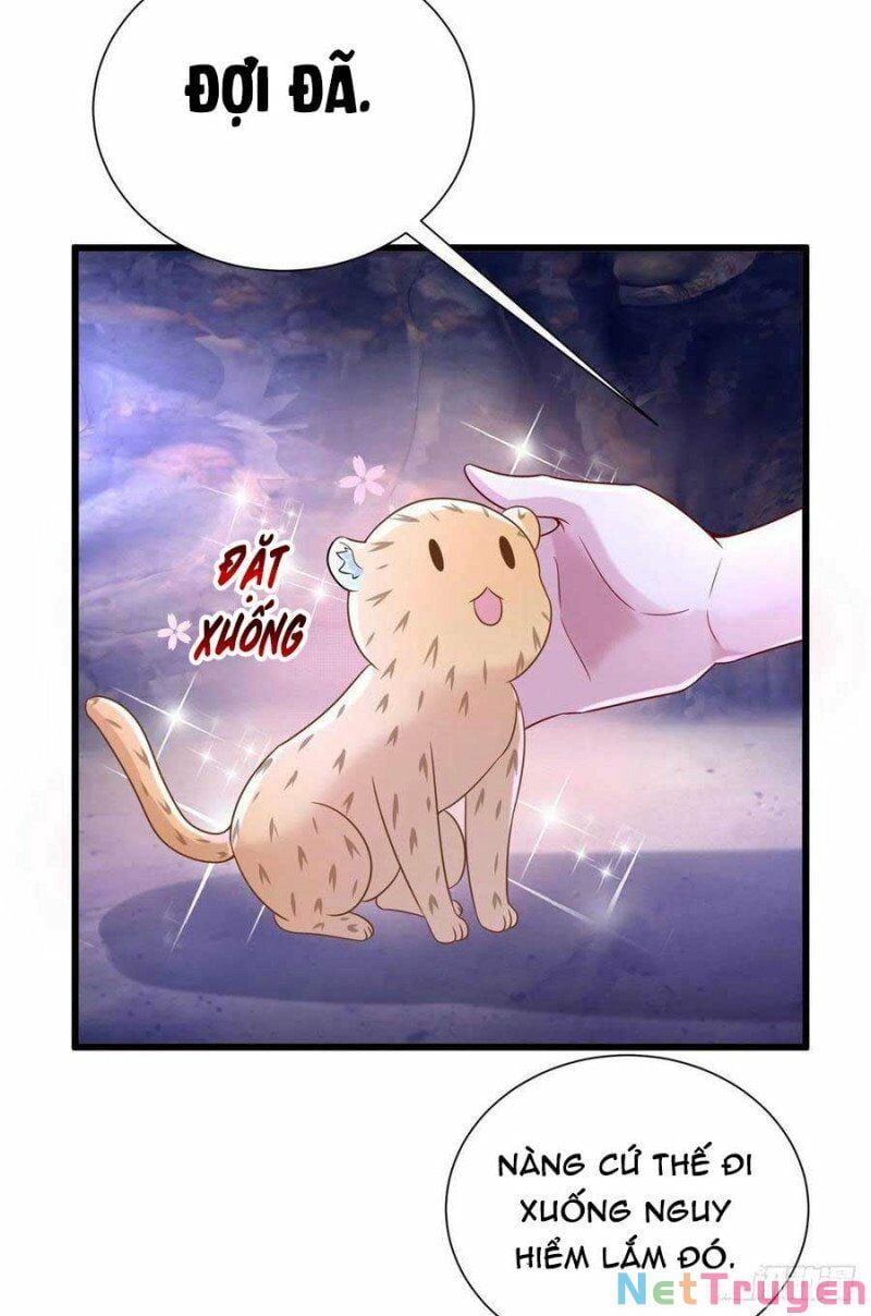 đọc truyện Thảnh Thơi Thú Thế Chủng Chủng Điền, Sinh Sinh Tể Chương 273.1 ảnh 14 tại Thiên Thai Truyện