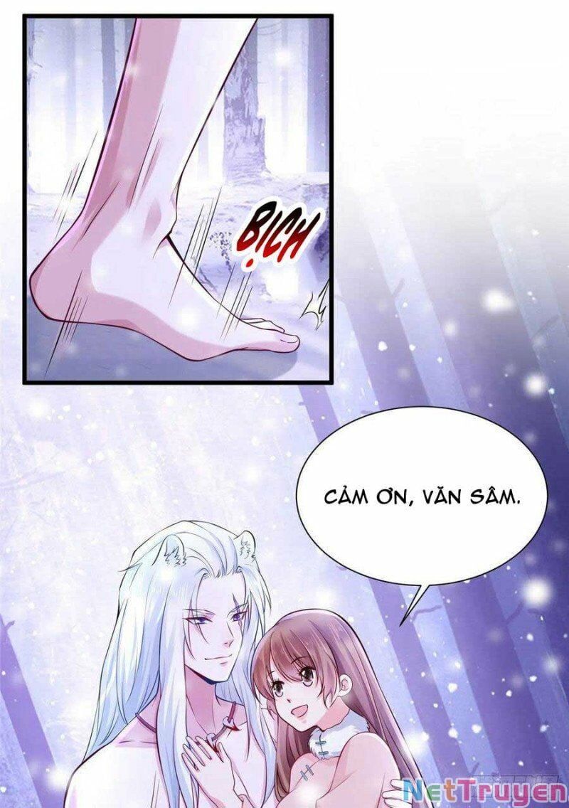 đọc truyện Thảnh Thơi Thú Thế Chủng Chủng Điền, Sinh Sinh Tể Chương 273.1 ảnh 22 tại Thiên Thai Truyện