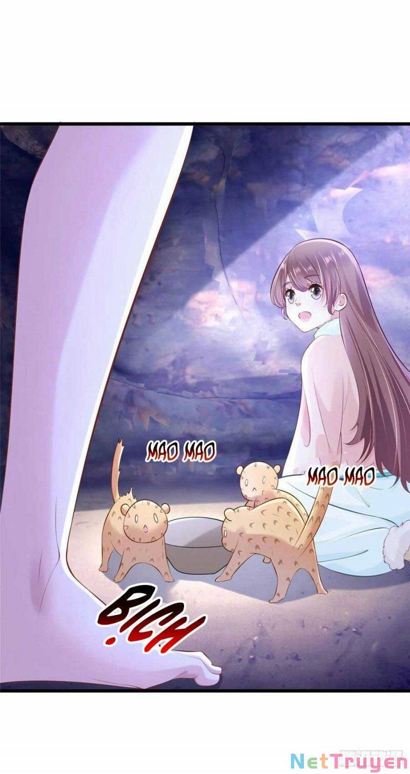 đọc truyện Thảnh Thơi Thú Thế Chủng Chủng Điền, Sinh Sinh Tể Chương 273.1 ảnh 6 tại Thiên Thai Truyện