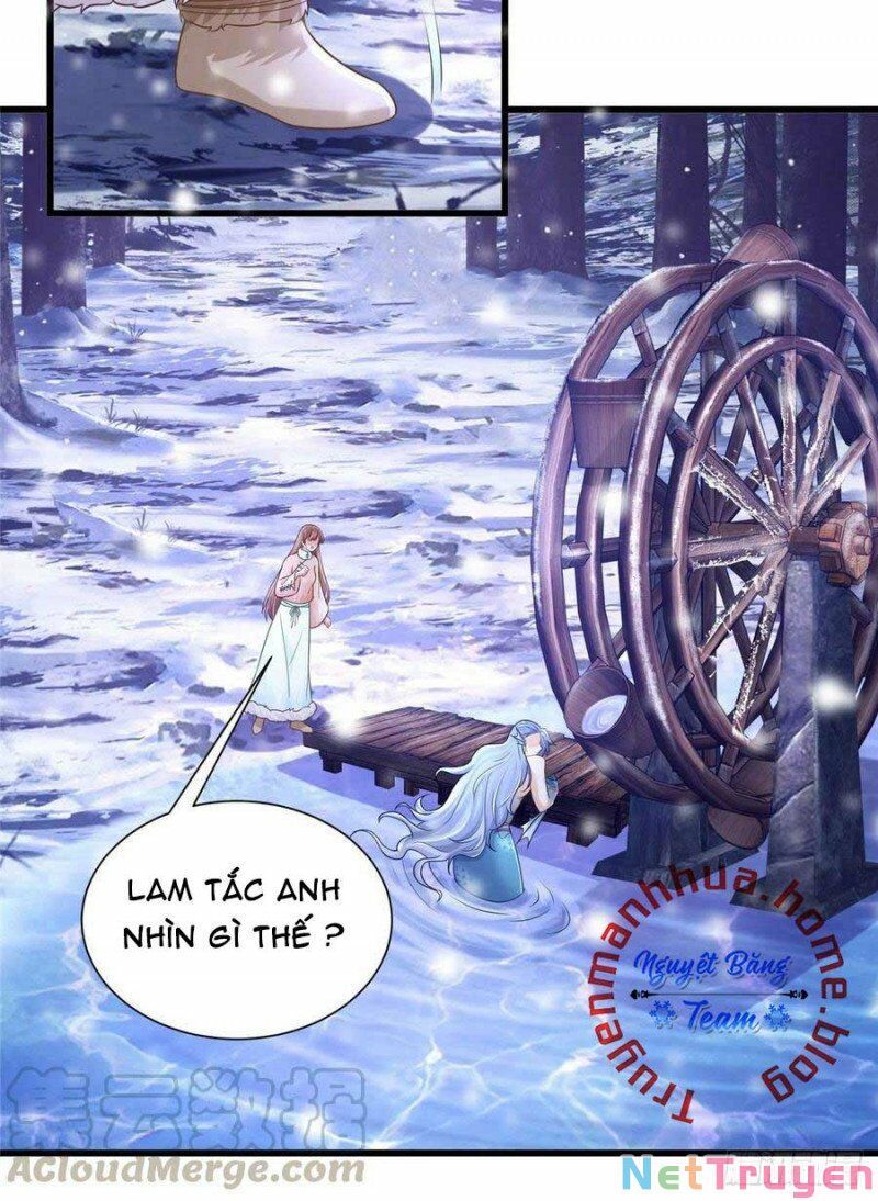 đọc truyện Thảnh Thơi Thú Thế Chủng Chủng Điền, Sinh Sinh Tể Chương 273.2 ảnh 19 tại Thiên Thai Truyện