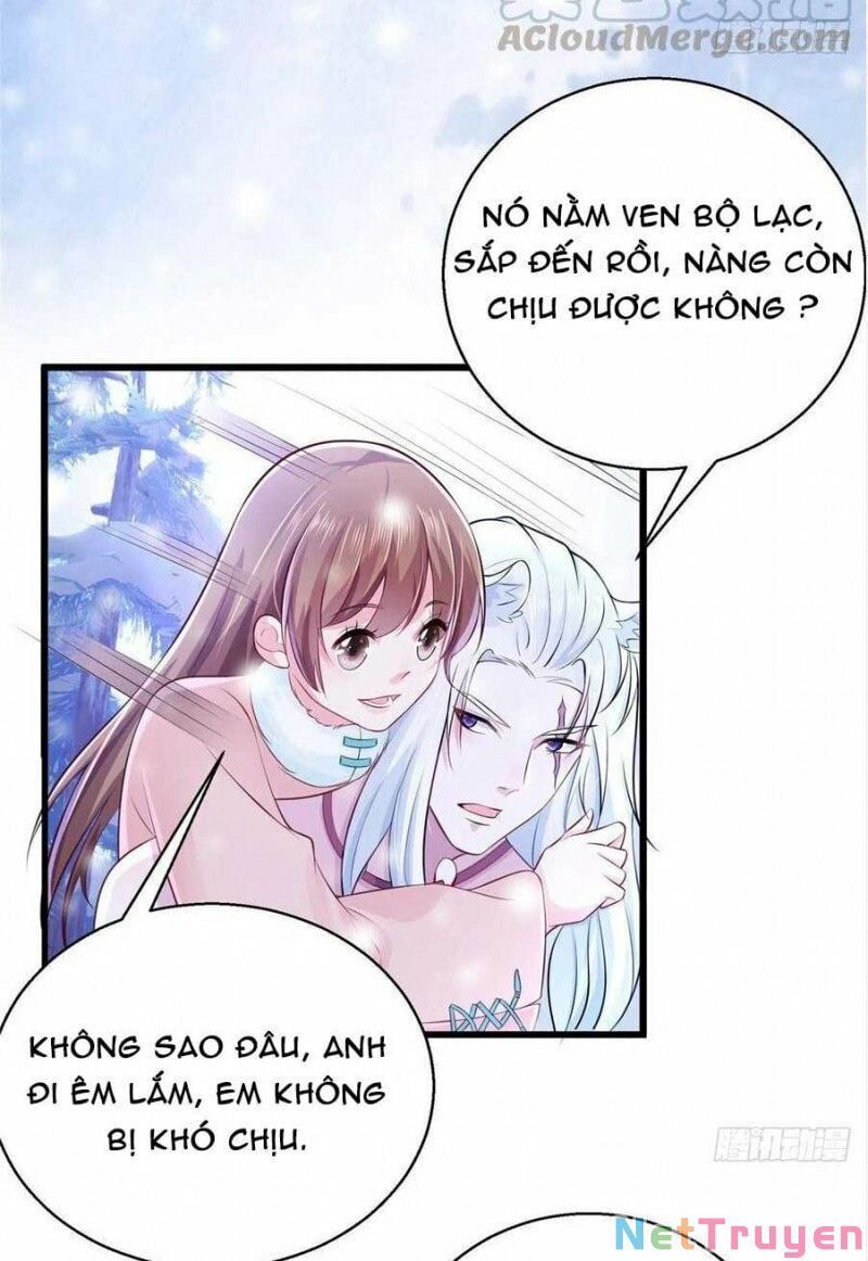 đọc truyện Thảnh Thơi Thú Thế Chủng Chủng Điền, Sinh Sinh Tể Chương 274.2 ảnh 19 tại Thiên Thai Truyện