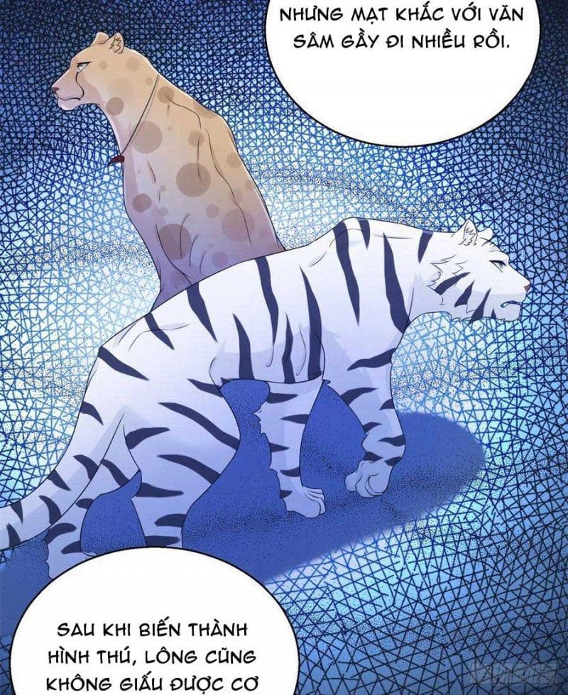 đọc truyện Thảnh Thơi Thú Thế Chủng Chủng Điền, Sinh Sinh Tể Chương 283 ảnh 8 tại Thiên Thai Truyện