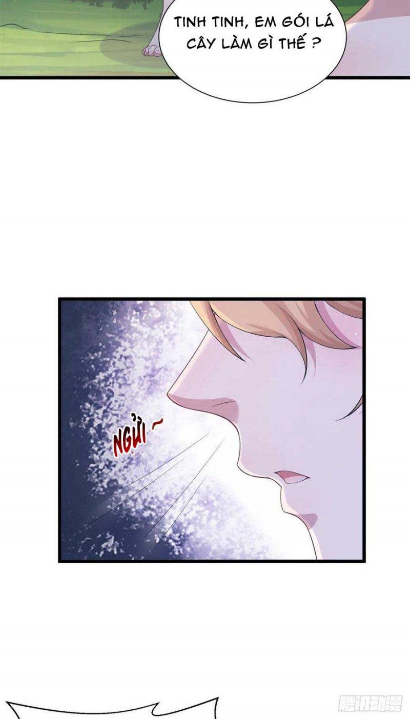 đọc truyện Thảnh Thơi Thú Thế Chủng Chủng Điền, Sinh Sinh Tể Chương 292.1 ảnh 19 tại Thiên Thai Truyện