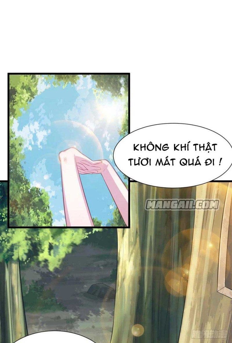 đọc truyện Thảnh Thơi Thú Thế Chủng Chủng Điền, Sinh Sinh Tể Chương 294.1 ảnh 4 tại Thiên Thai Truyện