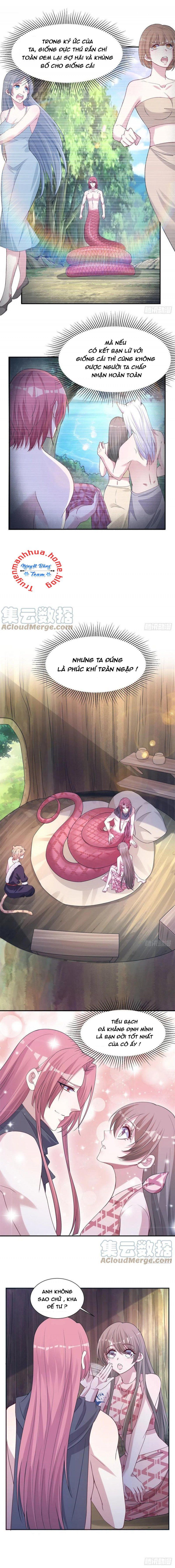 đọc truyện Thảnh Thơi Thú Thế Chủng Chủng Điền, Sinh Sinh Tể Chương 300 ảnh 4 tại Thiên Thai Truyện