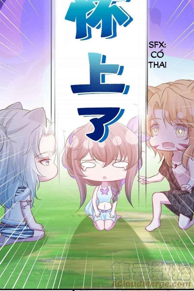 đọc truyện Thảnh Thơi Thú Thế Chủng Chủng Điền, Sinh Sinh Tể Chương 307.2 ảnh 24 tại Thiên Thai Truyện