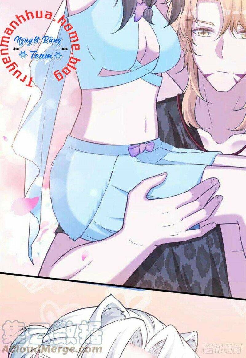 đọc truyện Thảnh Thơi Thú Thế Chủng Chủng Điền, Sinh Sinh Tể Chương 326.1 ảnh 13 tại Thiên Thai Truyện