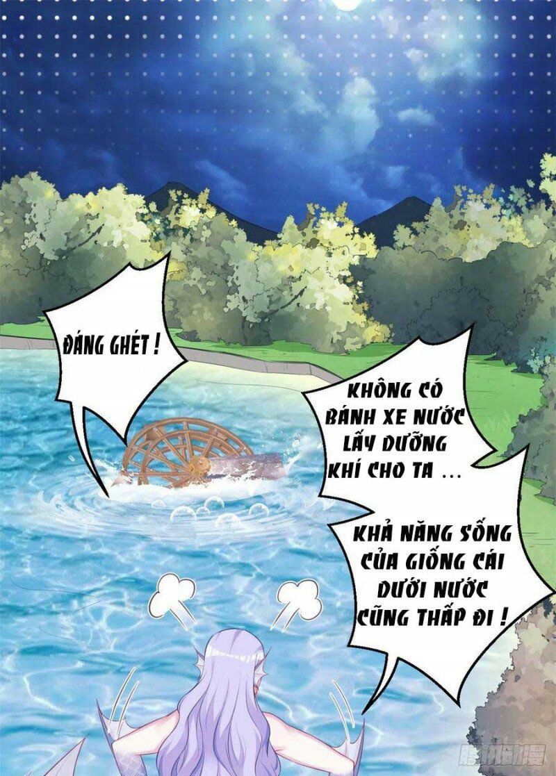 đọc truyện Thảnh Thơi Thú Thế Chủng Chủng Điền, Sinh Sinh Tể Chương 334.1 ảnh 11 tại Thiên Thai Truyện