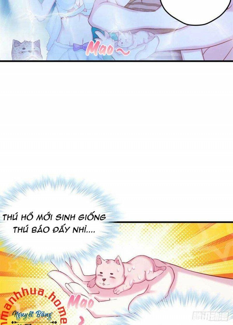 đọc truyện Thảnh Thơi Thú Thế Chủng Chủng Điền, Sinh Sinh Tể Chương 336.1 ảnh 19 tại Thiên Thai Truyện