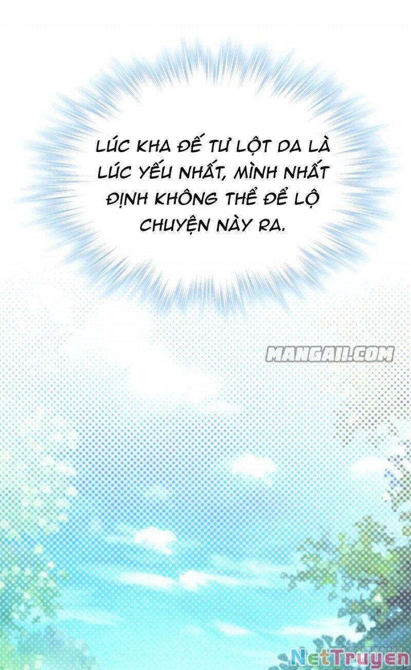 đọc truyện Thảnh Thơi Thú Thế Chủng Chủng Điền, Sinh Sinh Tể Chương 343.2 ảnh 4 tại Thiên Thai Truyện