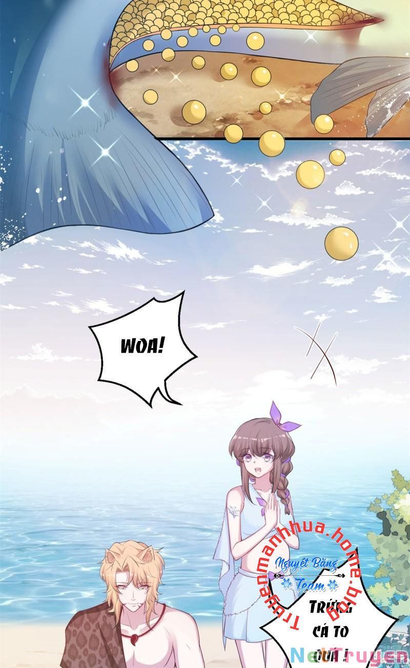 đọc truyện Thảnh Thơi Thú Thế Chủng Chủng Điền, Sinh Sinh Tể Chương 345.1 ảnh 16 tại Thiên Thai Truyện