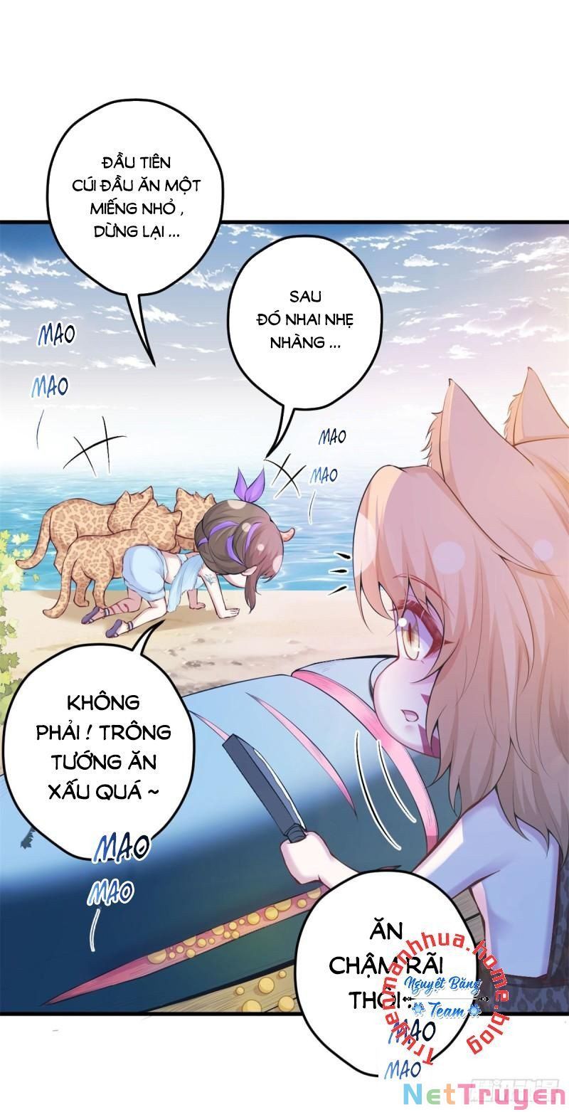 đọc truyện Thảnh Thơi Thú Thế Chủng Chủng Điền, Sinh Sinh Tể Chương 346.1 ảnh 19 tại Thiên Thai Truyện