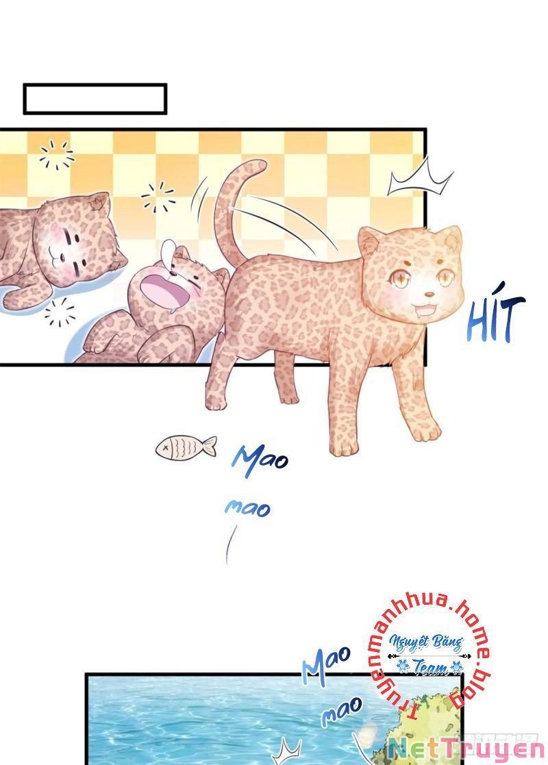 đọc truyện Thảnh Thơi Thú Thế Chủng Chủng Điền, Sinh Sinh Tể Chương 346.1 ảnh 4 tại Thiên Thai Truyện