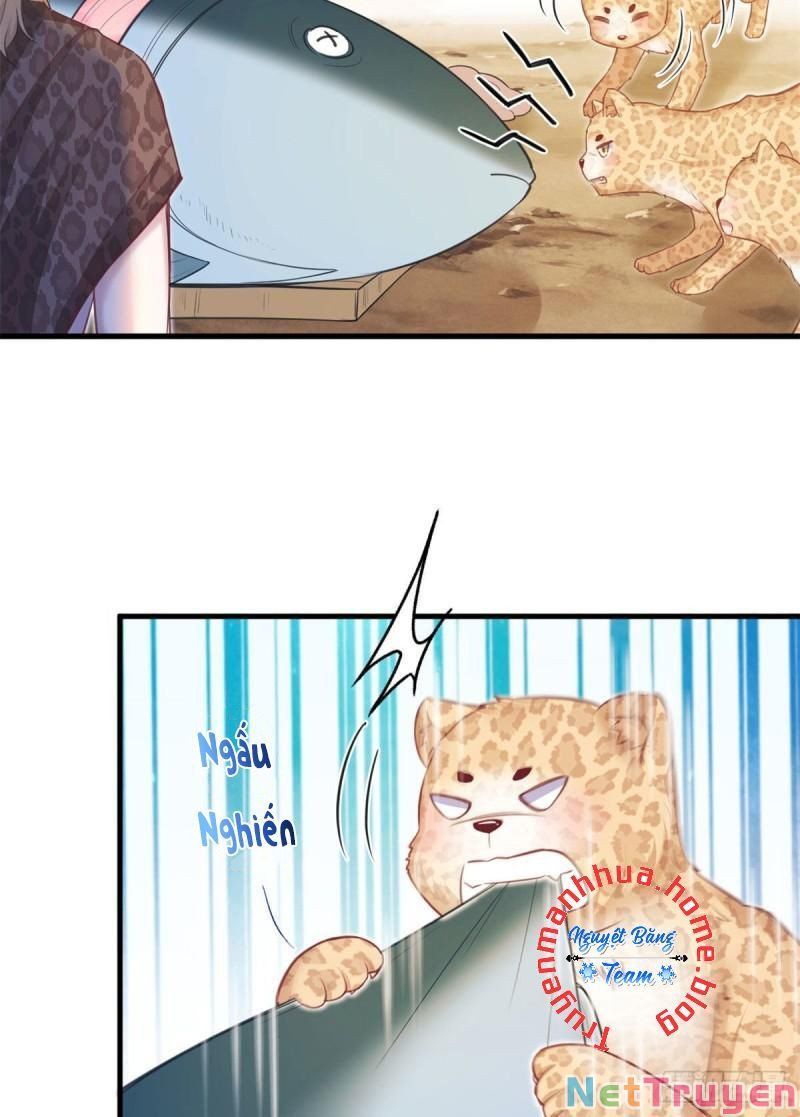 đọc truyện Thảnh Thơi Thú Thế Chủng Chủng Điền, Sinh Sinh Tể Chương 346.1 ảnh 7 tại Thiên Thai Truyện