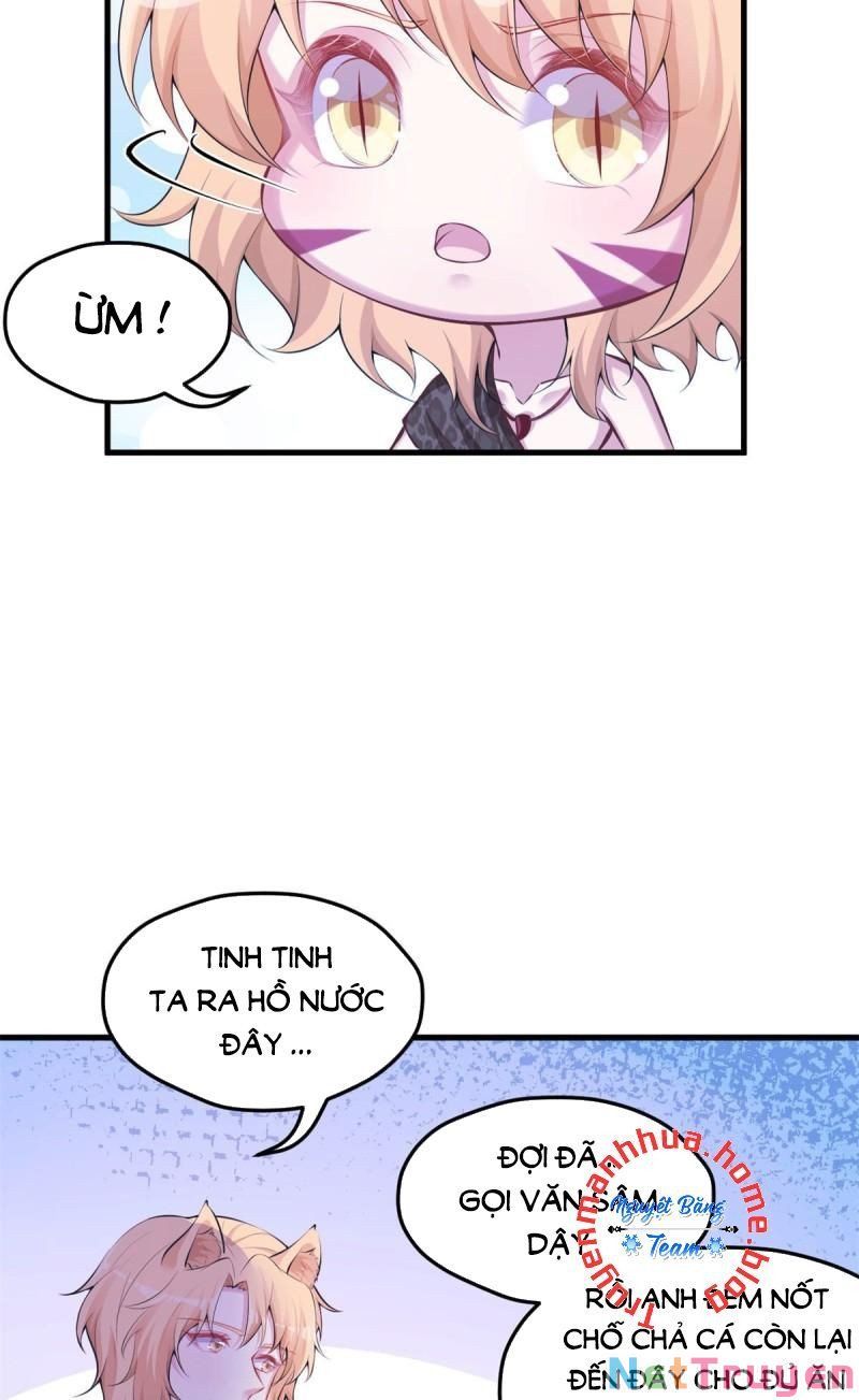 đọc truyện Thảnh Thơi Thú Thế Chủng Chủng Điền, Sinh Sinh Tể Chương 346.2 ảnh 15 tại Thiên Thai Truyện