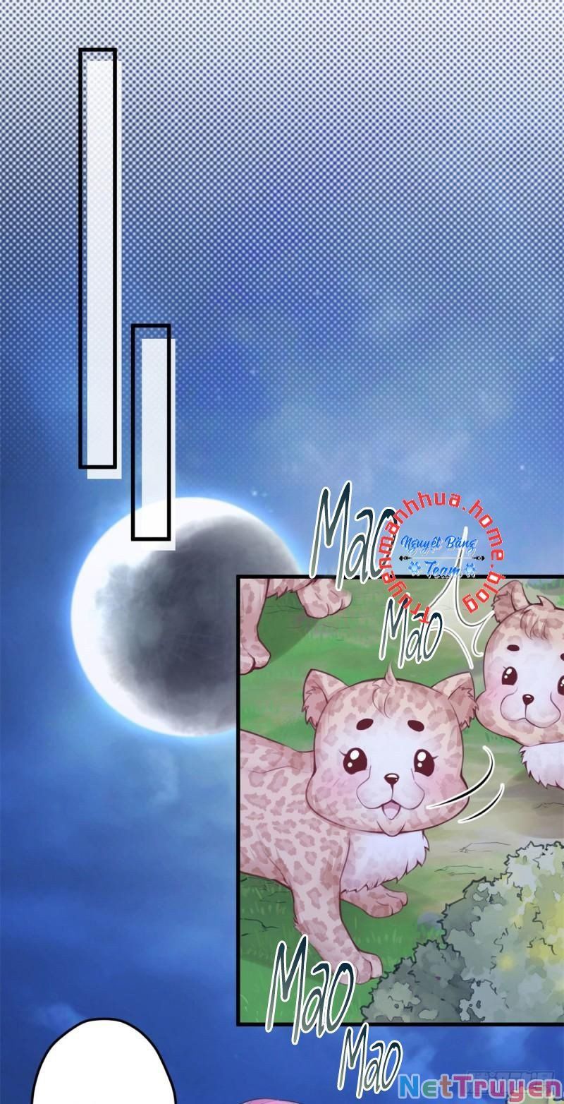 đọc truyện Thảnh Thơi Thú Thế Chủng Chủng Điền, Sinh Sinh Tể Chương 347.2 ảnh 9 tại Thiên Thai Truyện