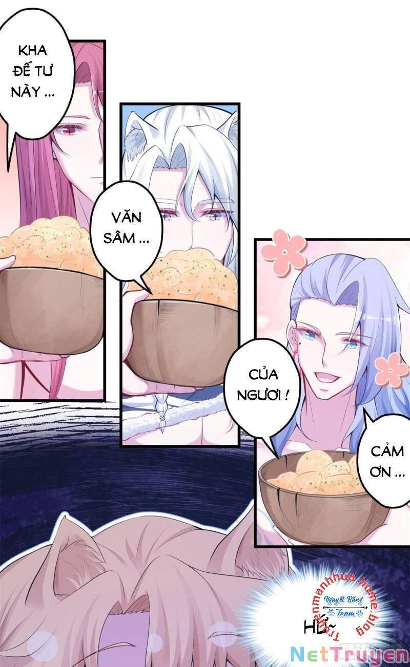 đọc truyện Thảnh Thơi Thú Thế Chủng Chủng Điền, Sinh Sinh Tể Chương 348.1 ảnh 17 tại Thiên Thai Truyện