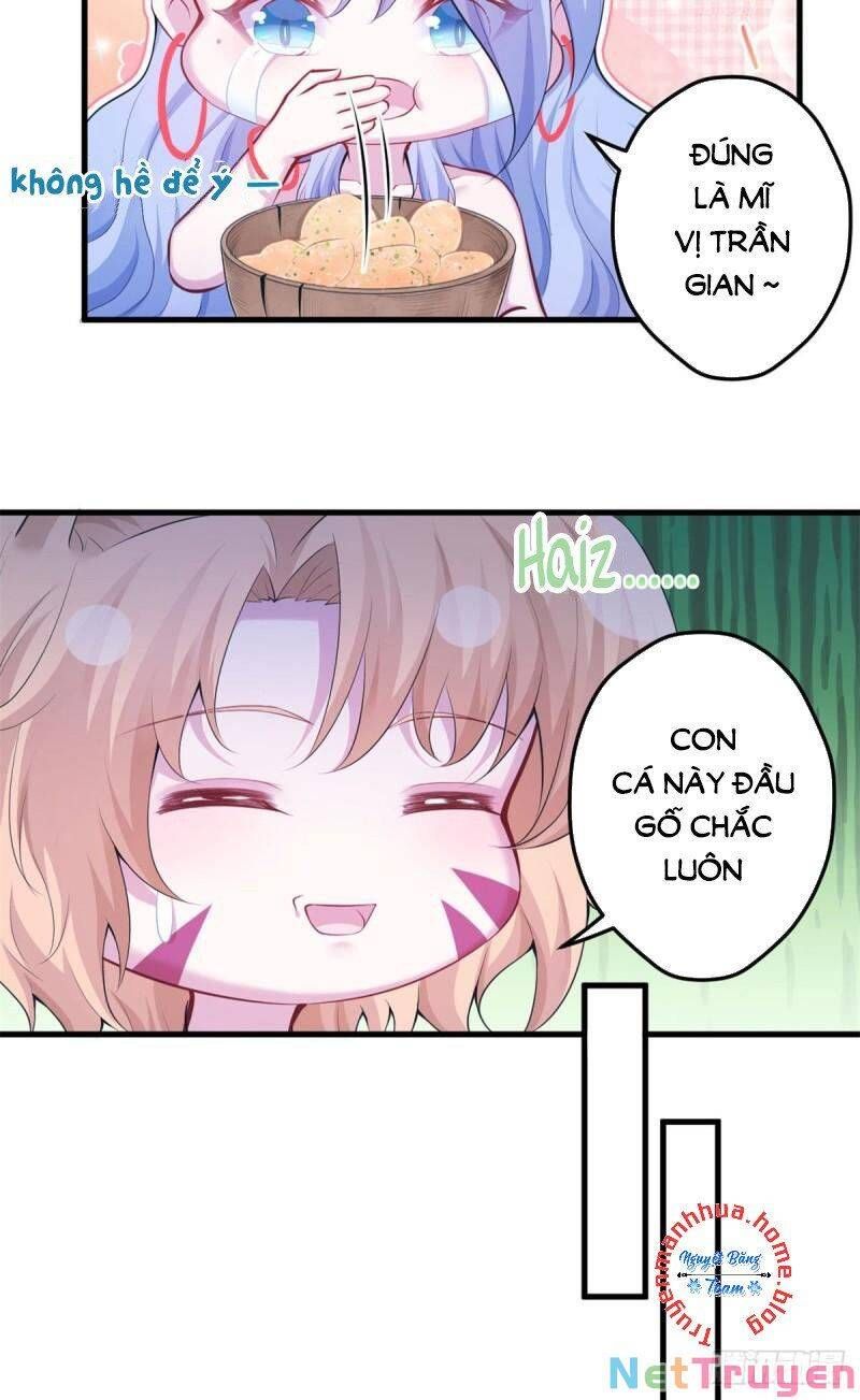 đọc truyện Thảnh Thơi Thú Thế Chủng Chủng Điền, Sinh Sinh Tể Chương 348.1 ảnh 19 tại Thiên Thai Truyện