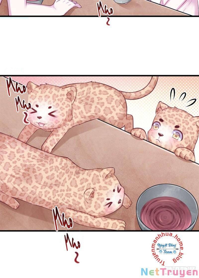 đọc truyện Thảnh Thơi Thú Thế Chủng Chủng Điền, Sinh Sinh Tể Chương 348.2 ảnh 12 tại Thiên Thai Truyện