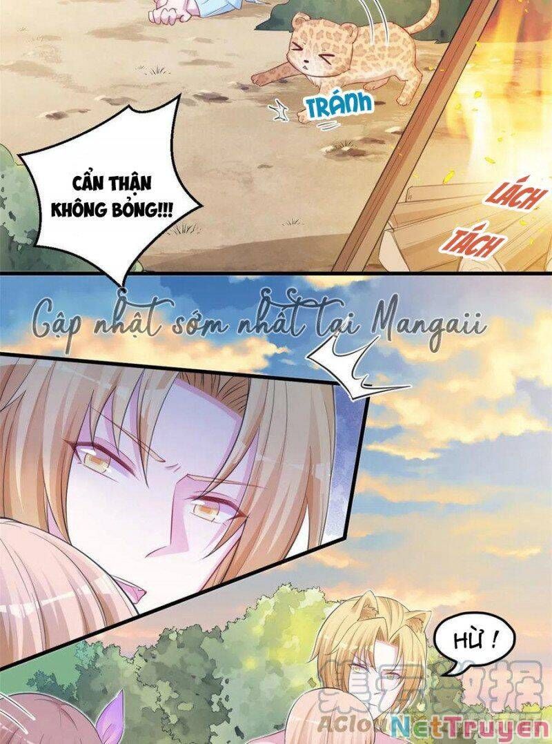 đọc truyện Thảnh Thơi Thú Thế Chủng Chủng Điền, Sinh Sinh Tể Chương 351.2 ảnh 13 tại Thiên Thai Truyện