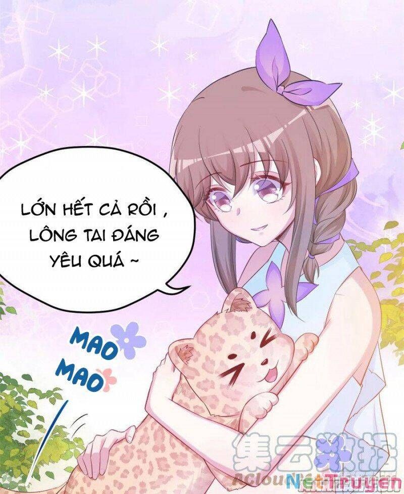 đọc truyện Thảnh Thơi Thú Thế Chủng Chủng Điền, Sinh Sinh Tể Chương 351.2 ảnh 19 tại Thiên Thai Truyện