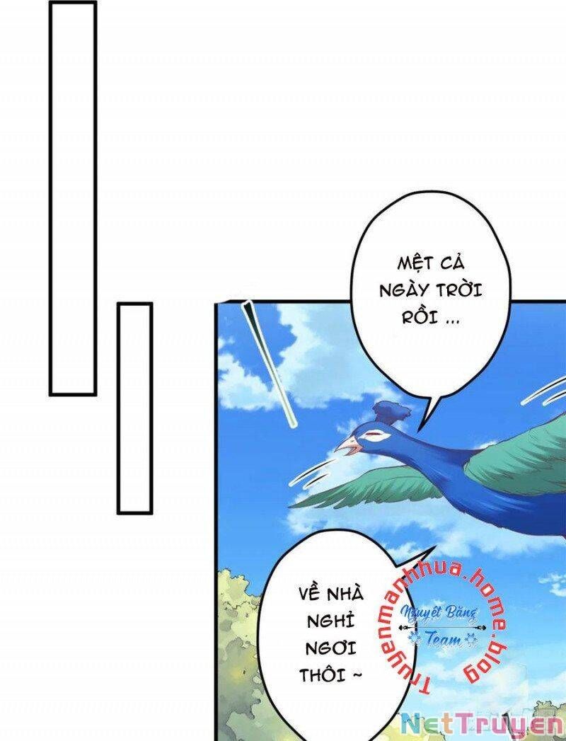 đọc truyện Thảnh Thơi Thú Thế Chủng Chủng Điền, Sinh Sinh Tể Chương 352.1 ảnh 17 tại Thiên Thai Truyện