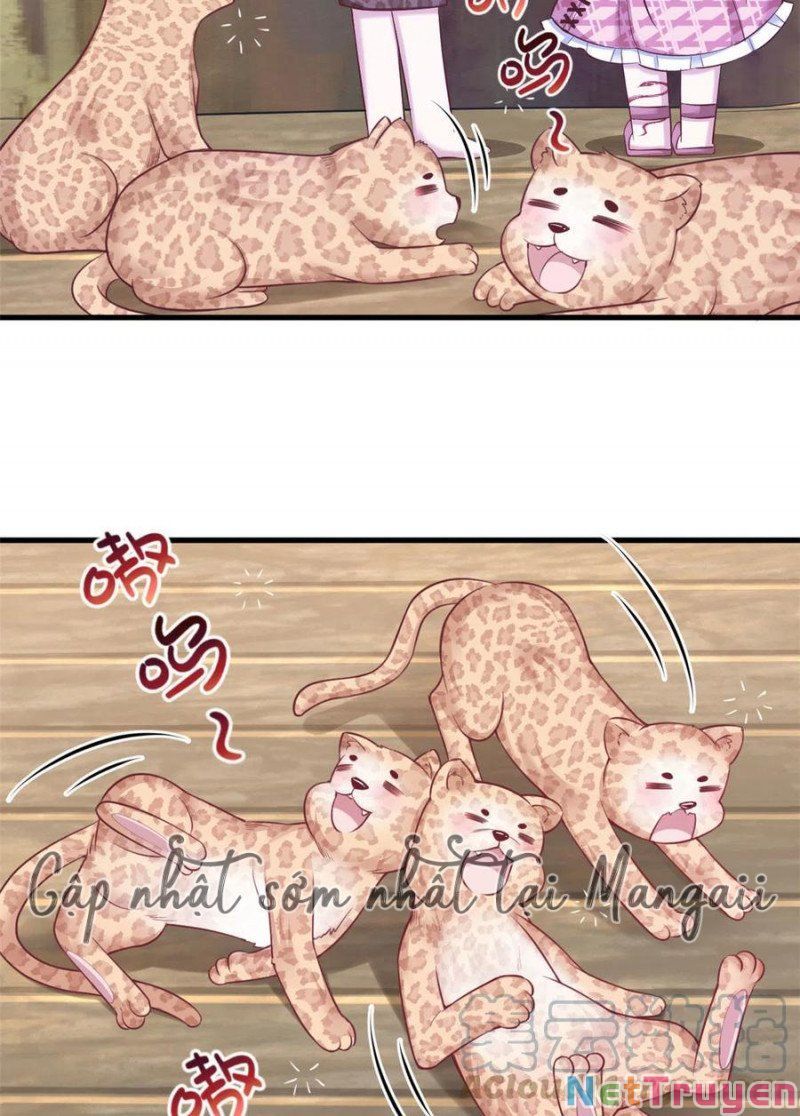 đọc truyện Thảnh Thơi Thú Thế Chủng Chủng Điền, Sinh Sinh Tể Chương 374 ảnh 7 tại Thiên Thai Truyện